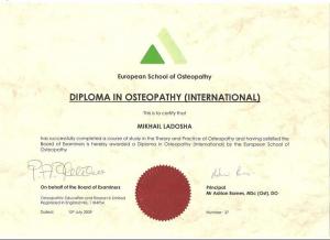 Ладоша Михаил Николаевич, диплом/сертифкат 1