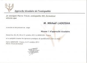 Ладоша Михаил Николаевич, диплом/сертифкат 2