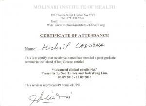 Ладоша Михаил Николаевич, диплом/сертифкат 3