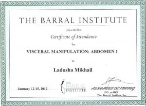 Ладоша Михаил Николаевич, диплом/сертифкат 4