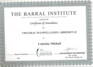 Ладоша Михаил Николаевич, диплом/сертифкат 5