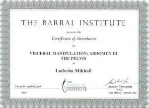 Ладоша Михаил Николаевич, диплом/сертифкат 6