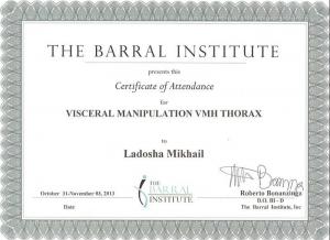 Ладоша Михаил Николаевич, диплом/сертифкат 7