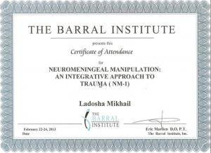 Ладоша Михаил Николаевич, диплом/сертифкат 8