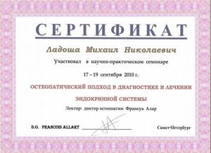Ладоша Михаил Николаевич, диплом/сертифкат 9