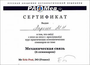 Ладоша Михаил Николаевич, диплом/сертифкат 10