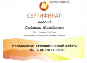 Ладоша Людмила Михайловна, диплом/сертифкат 3