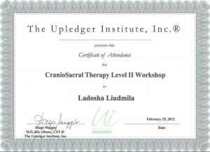 Ладоша Людмила Михайловна, диплом/сертифкат 8