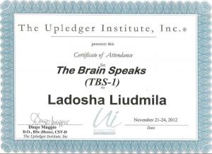 Ладоша Людмила Михайловна, диплом/сертифкат 9