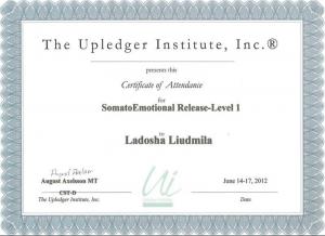 Ладоша Людмила Михайловна, диплом/сертифкат 10