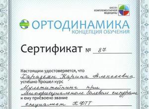 Диплом/сертифкат 11 Харазьян Карина Алексеевна, диплом/сертифкат 11