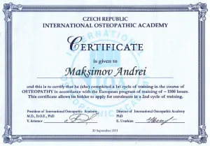 Диплом/сертифкат 8 Максимов Андрей Евгеньевич, диплом/сертифкат 8