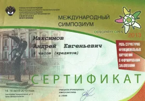 Диплом/сертифкат 16 Максимов Андрей Евгеньевич, диплом/сертифкат 16