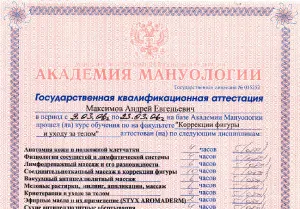 Диплом/сертифкат 26 Максимов Андрей Евгеньевич, диплом/сертифкат 26