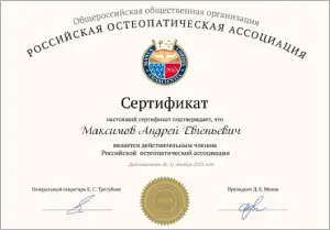Диплом/сертифкат 27 Максимов Андрей Евгеньевич, диплом/сертифкат 27