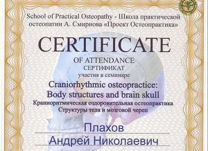 Плахов Андрей Николаевич, диплом/сертифкат 8