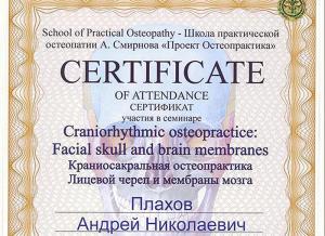 Плахов Андрей Николаевич, диплом/сертифкат 10