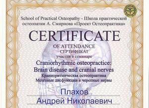 Плахов Андрей Николаевич, диплом/сертифкат 11