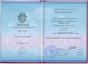 Плахов Андрей Николаевич, диплом/сертифкат 2