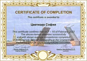 Диплом/сертифкат 11 Цветкова София Альтафовна, диплом/сертифкат 11