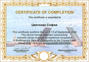 Диплом/сертифкат 17 Цветкова София Альтафовна, диплом/сертифкат 17