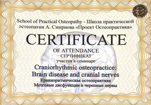 Плахова Екатерина Александровна, диплом/сертифкат 17