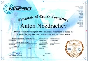 Диплом/сертифкат 10 Ноздрачев Антон Александрович, диплом/сертифкат 10