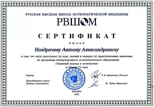 Диплом/сертифкат 11 Ноздрачев Антон Александрович, диплом/сертифкат 11