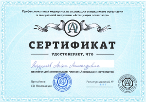 Диплом/сертифкат 15 Ноздрачев Антон Александрович, диплом/сертифкат 15