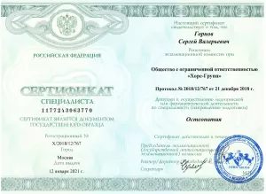 Горнов Сергей Валерьевич, диплом/сертифкат 2