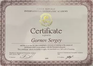 Горнов Сергей Валерьевич, диплом/сертифкат 19