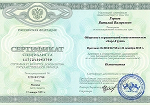Горнов Виталий Валерьевич, диплом/сертифкат 11