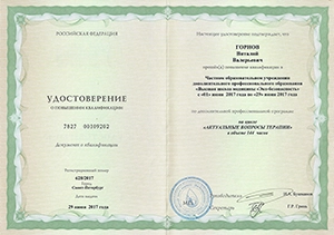 Горнов Виталий Валерьевич, диплом/сертифкат 16