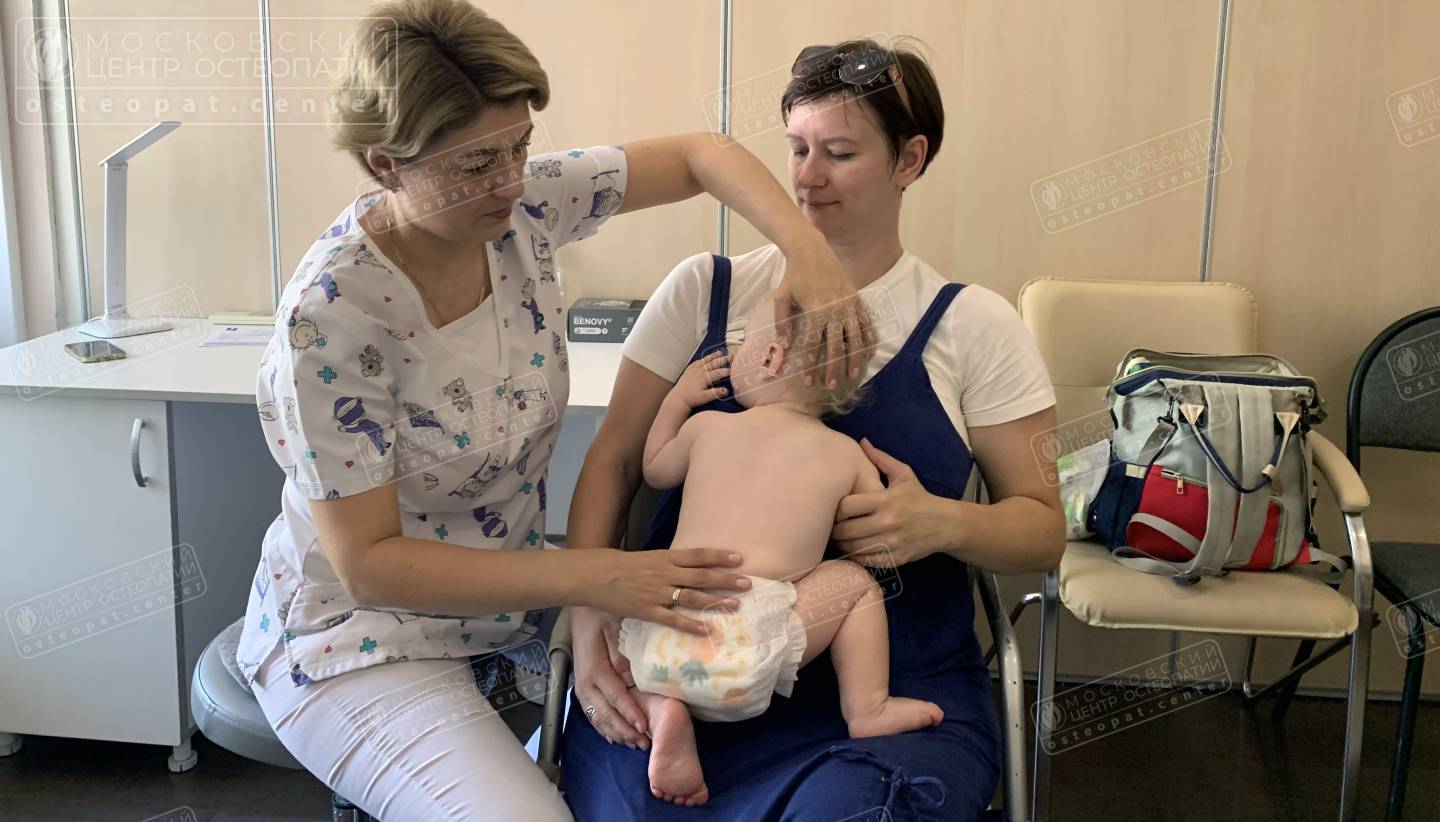 Кривошея Кривошея